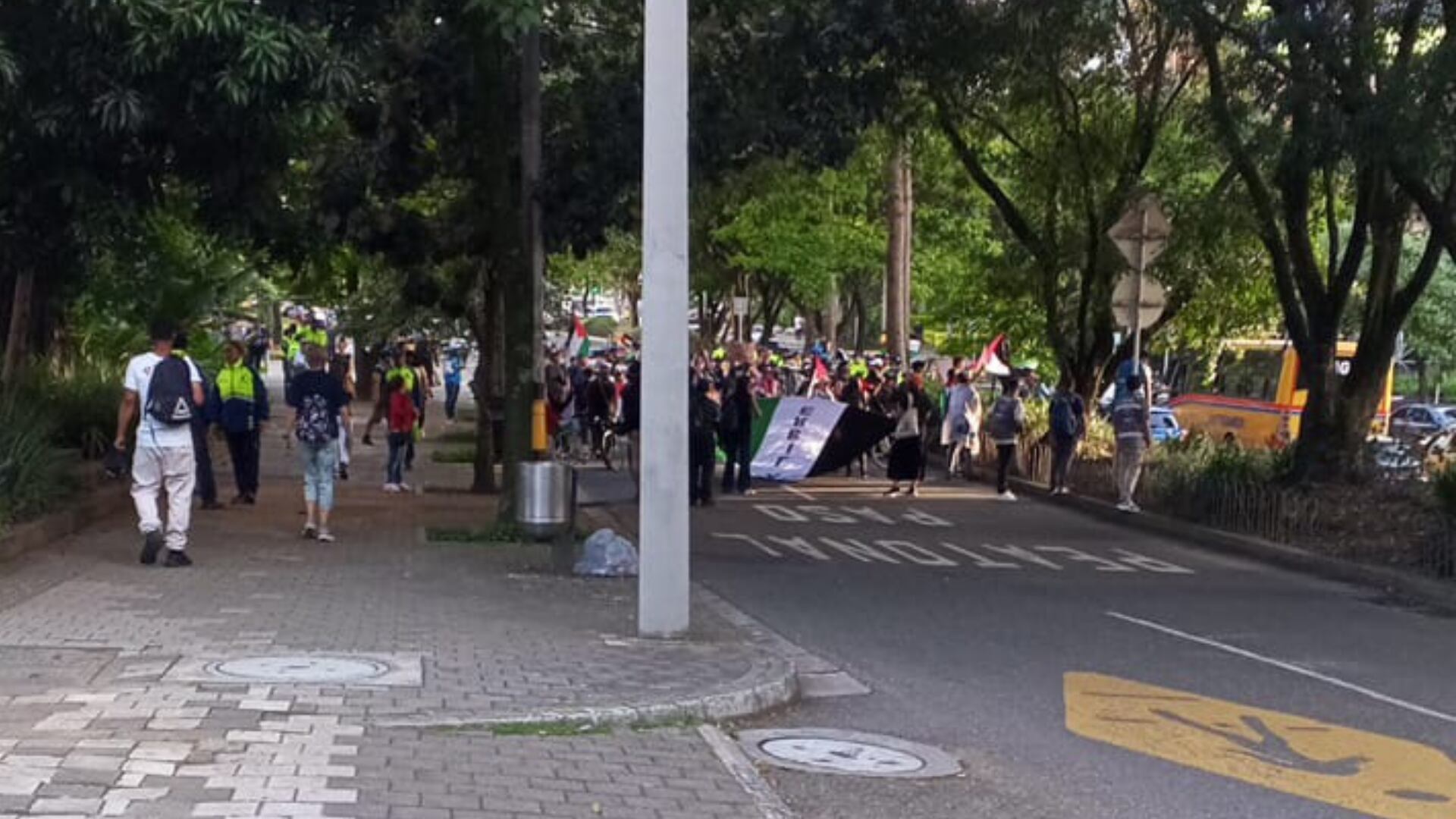 Protestas Propalestina