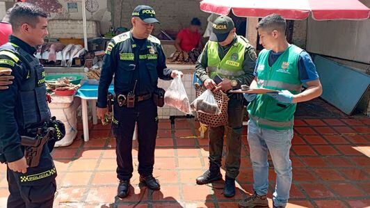 El Dagma realizó operativos de control para evitar el tráfico de fauna silvestre.