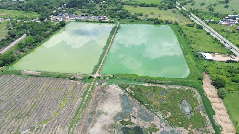 Foto panorámica del Parque de Las Lagunas en Montería.