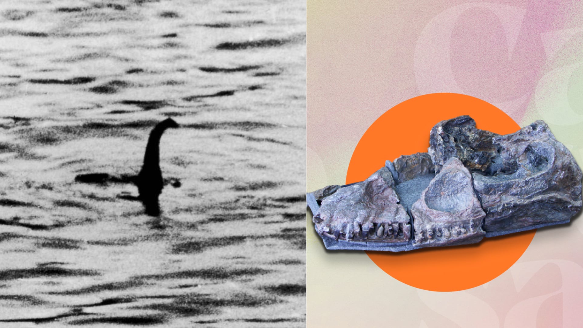 El monstruo del Lago Ness nadó en los mares que cubrían Boyacá