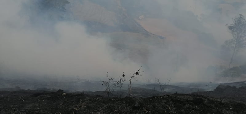 Incendios afectaron a Cundinamarca