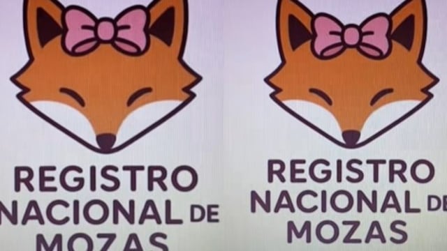 Foto imagen del Excel de Mozas en Colombia.