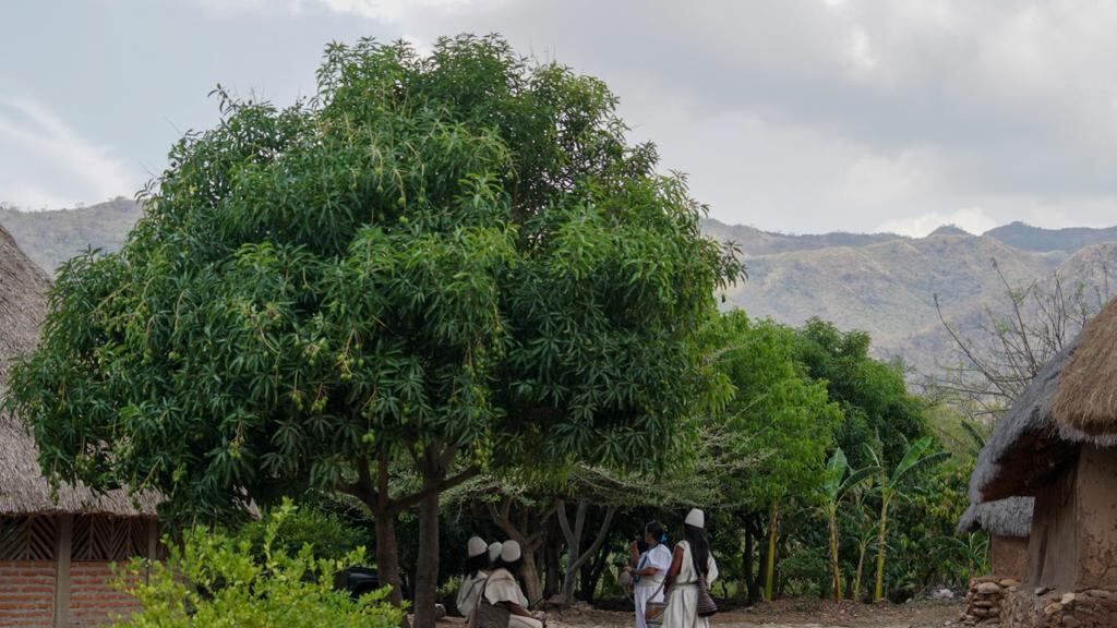 Minambiente amplió área protegida del Parque Nacional Natural Sierra Nevada de Santa Marta
