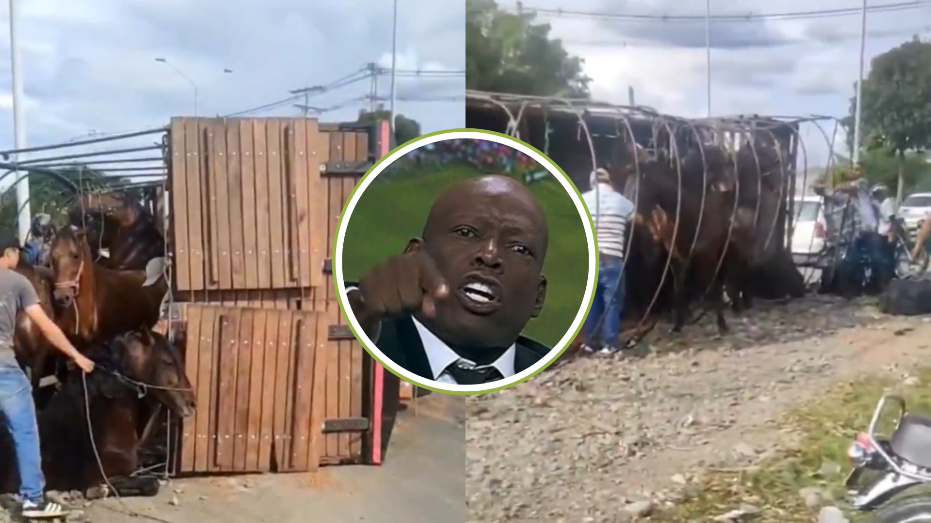 El Tino Asprilla denunció que un conductor casi le mata a sus caballos y huyó del lugar: no pudo llegar a las cabalgatas de Tuluá