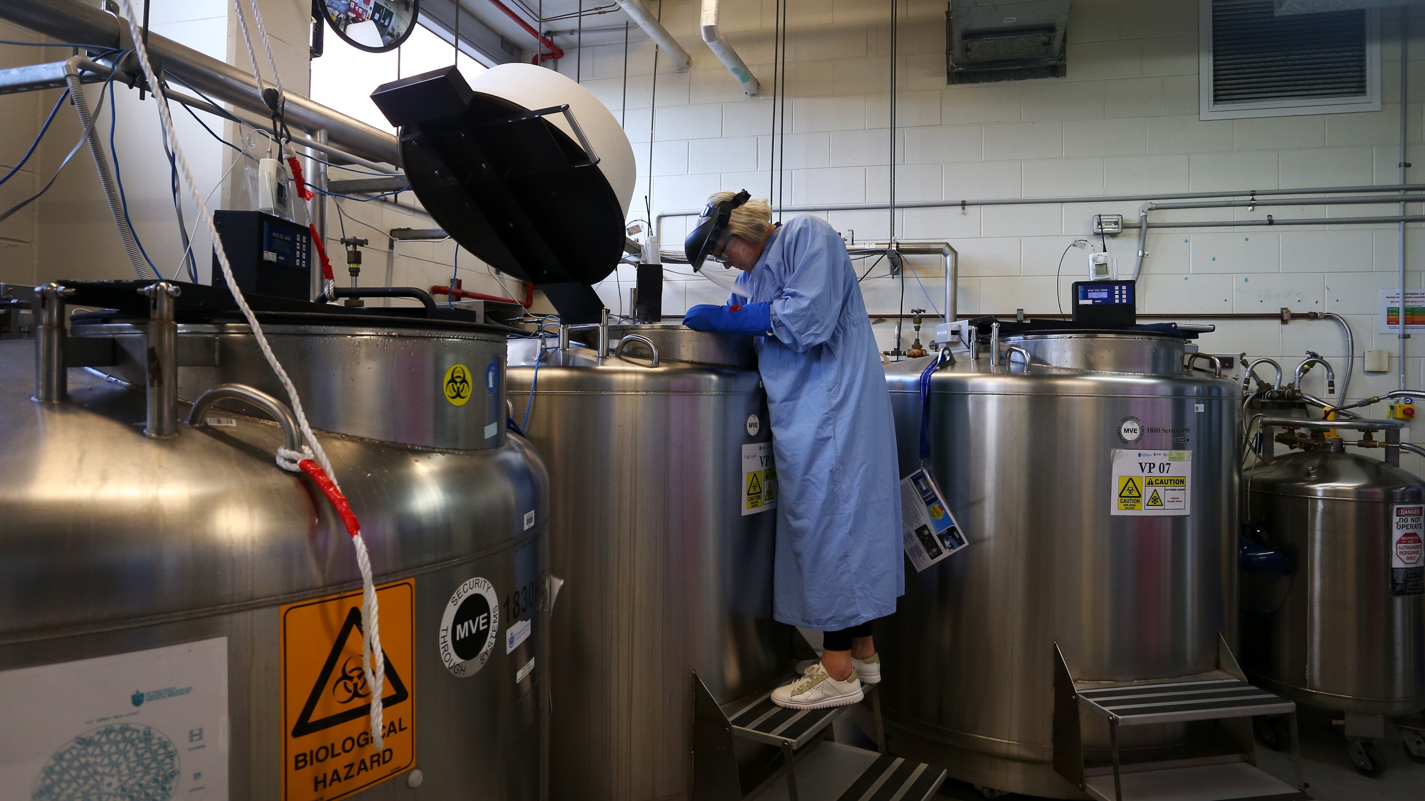 Imagen tomada de Getty images