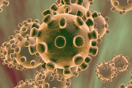 Coronavirus: así es como el covid-19 afecta a los pulmones
