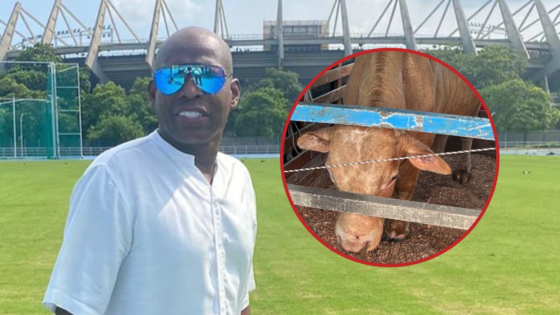 ‘El Tino’ Asprilla dio triste noticia sobre su famoso toro Lagrimón