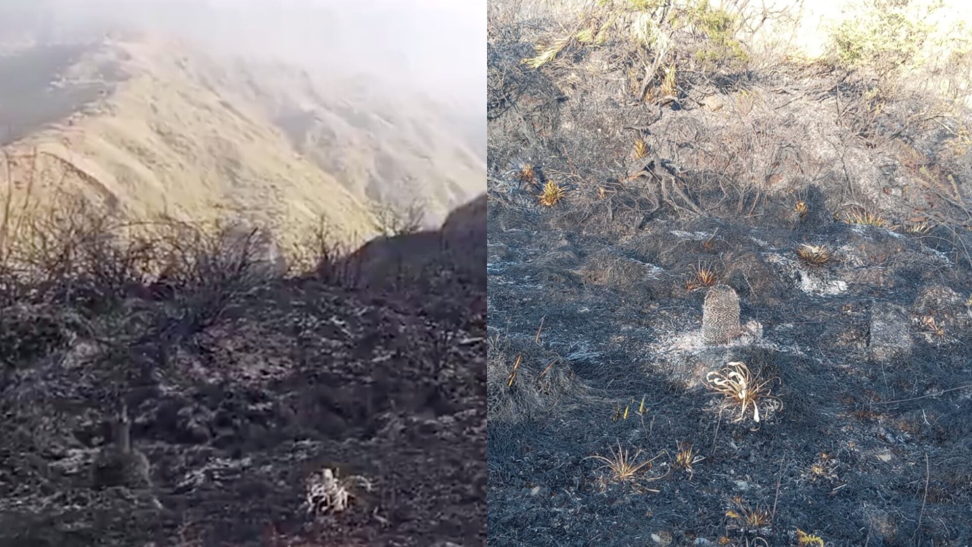 Incendio forestal en Chingaza fue controlado según Carlos Fernando Galán.
