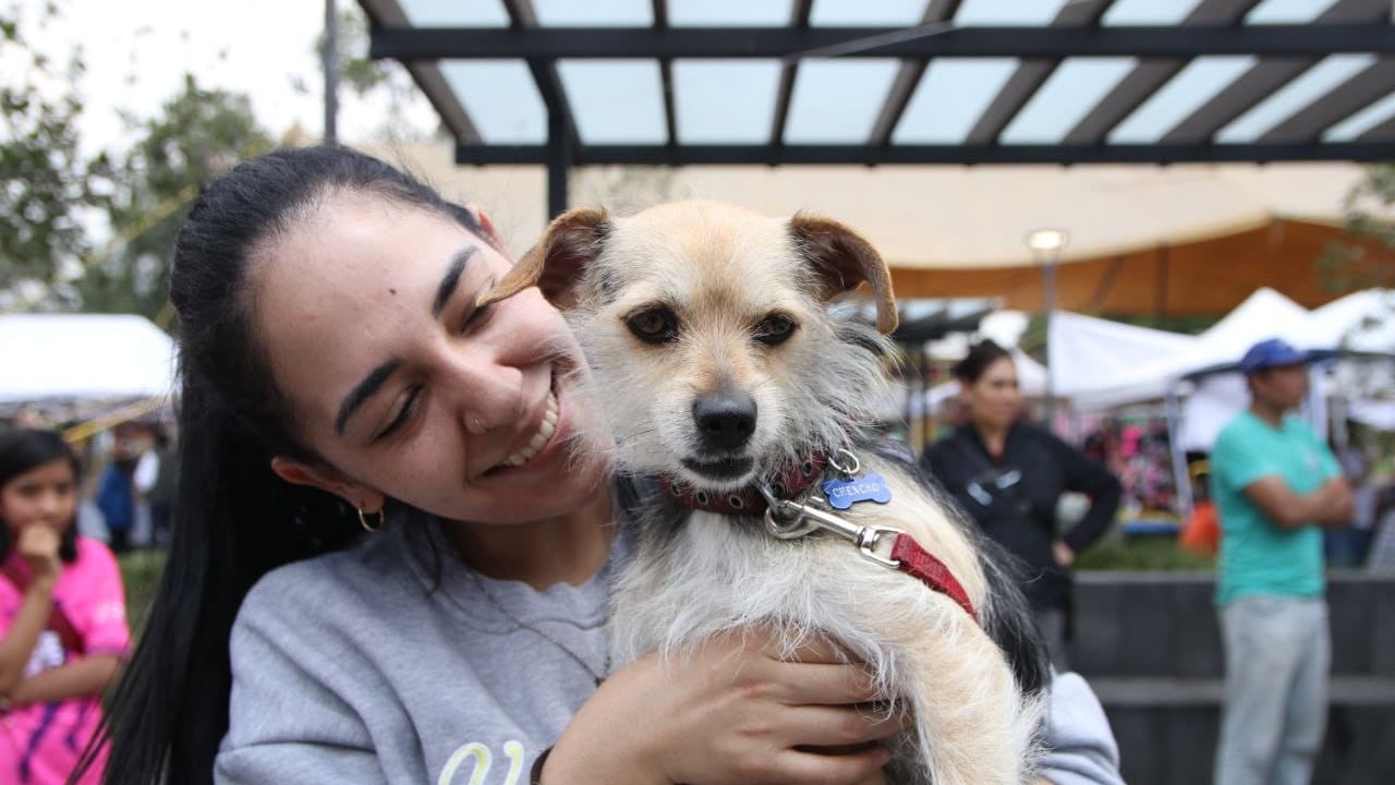 Promueven la adopción de perros (Especial)