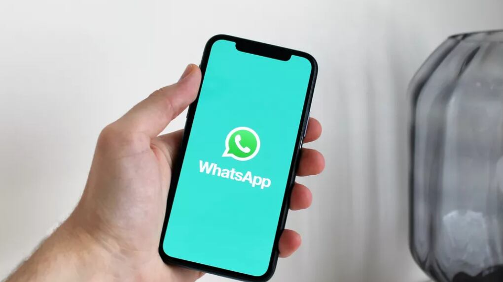 WhatsApp: Esta é a forma de sair de um grupo de forma anônima e sem notificar ninguém