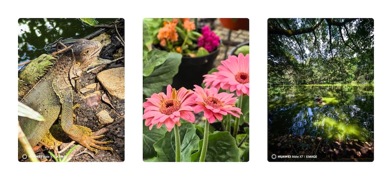 Huawei Mate X7 Colombia