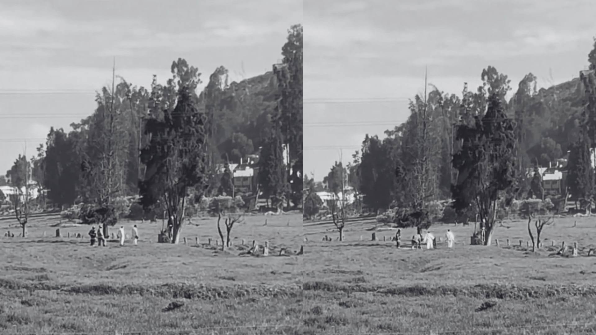 Encuentran un hombre sin vida en la vía Indumil, en el municipio de Soacha: se habría quitado la vida en un árbol