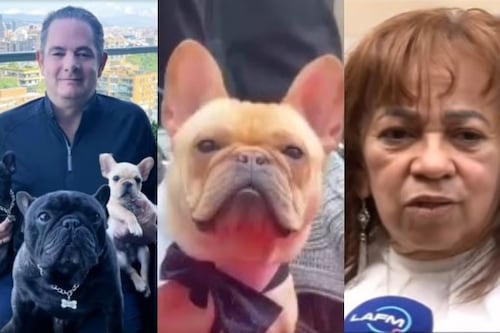 Paranormal: perros de Germán Vargas Lleras presintieron su muerte