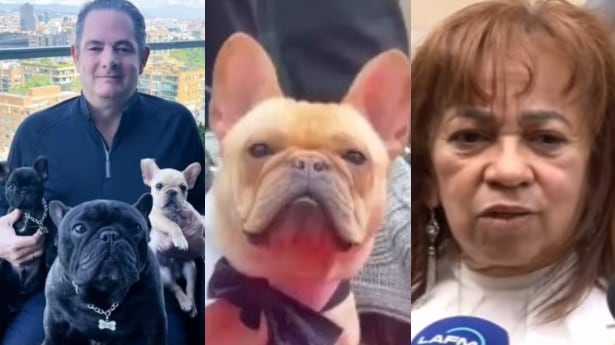 Foto “Presintieron su muerte”: el conmovedor relato sobre los perros de Germán Vargas Lleras que impacta en redes.