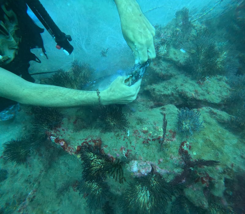 Limpieza de redes en el fondo marino (Foto: @guardianesdelmar)