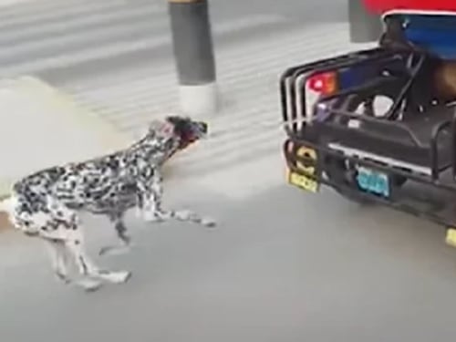 Desalmado: Sujeto encadenó perro a un “mototaxi” y lo arrastró por las calles en Perú