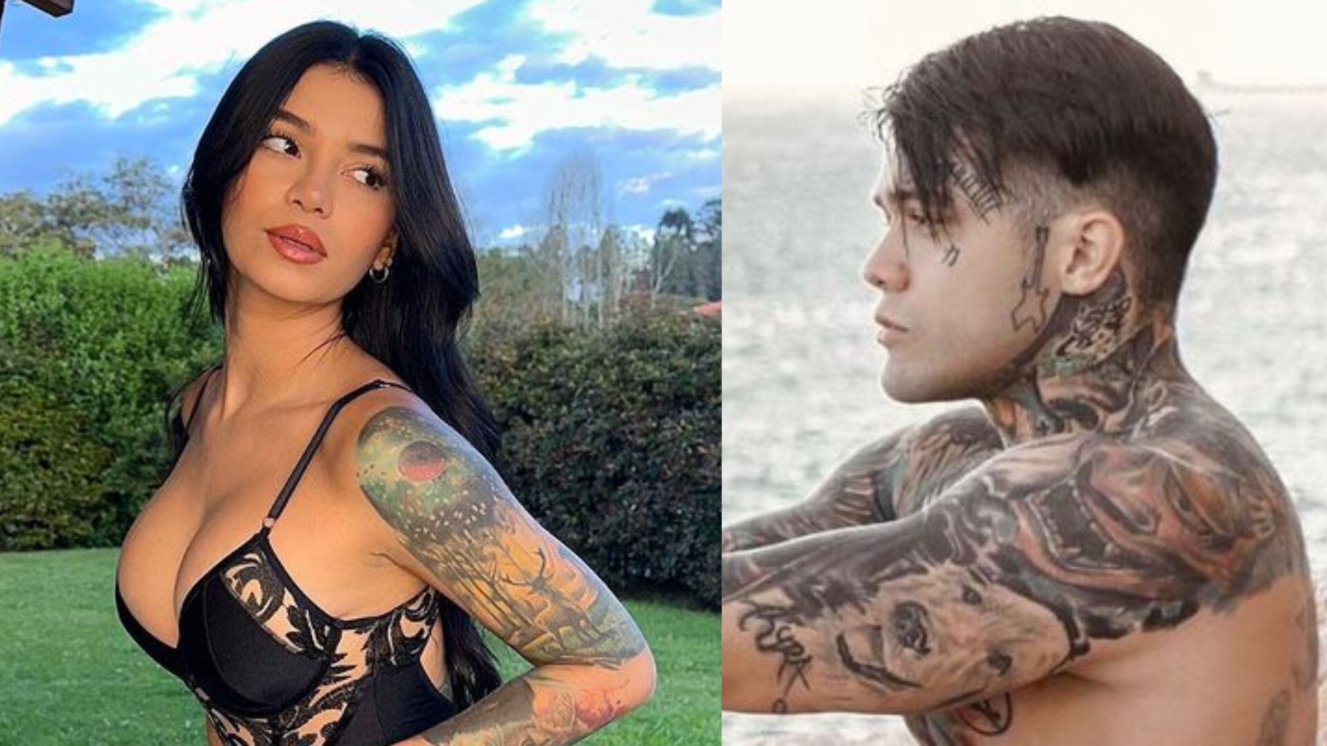 generador de contenido