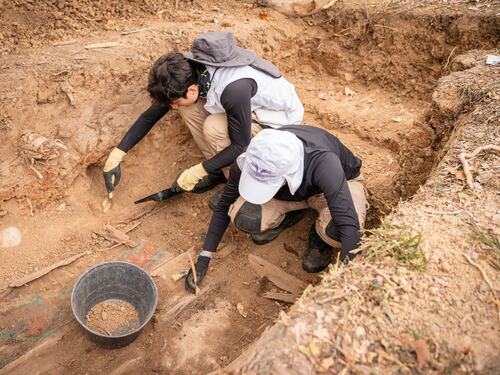 Por primera vez, UBPD intervinó cementerio municipal en Cundinamarca: fueron recuperados 7 cuerpos