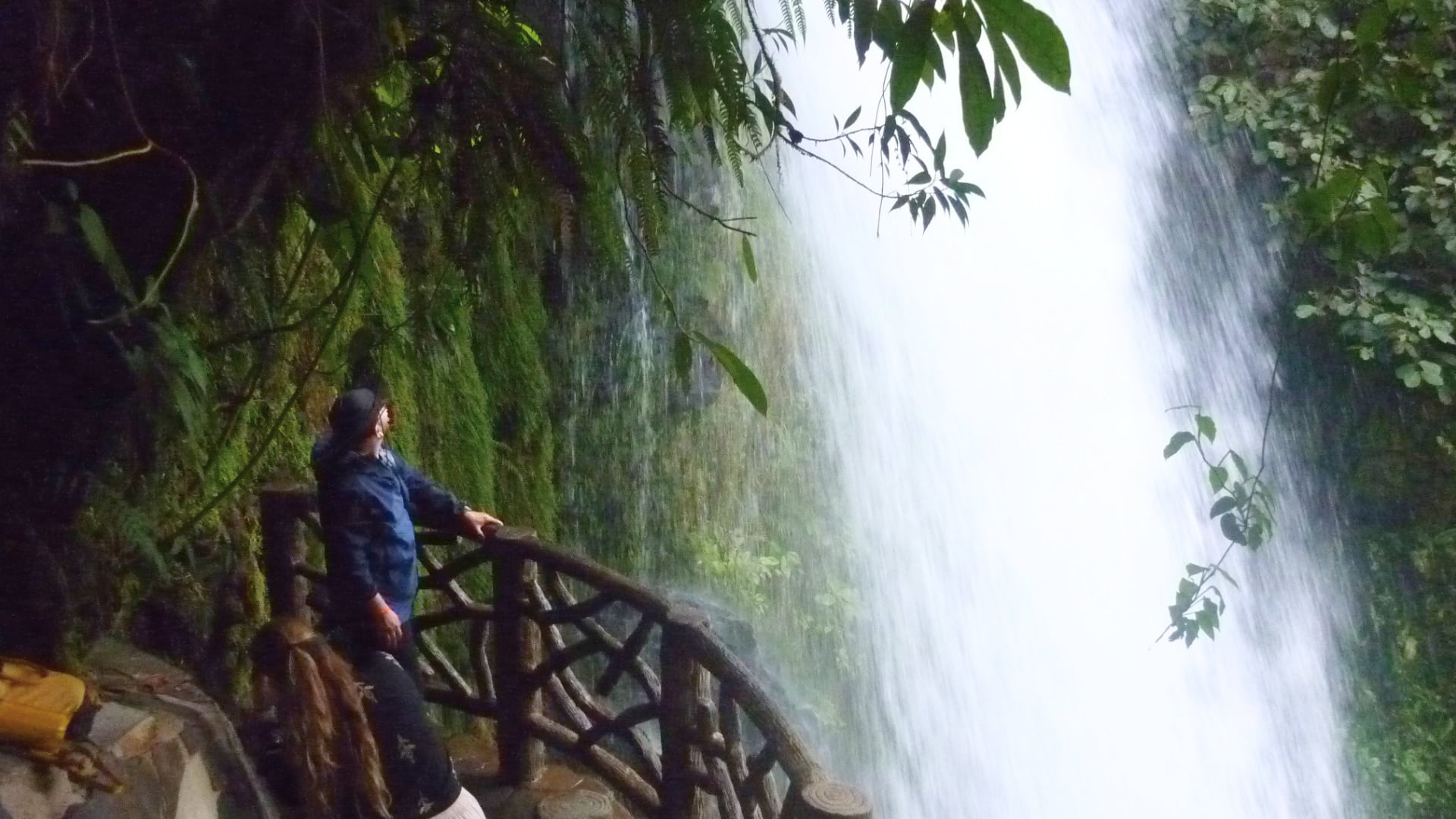 Ecoturismo