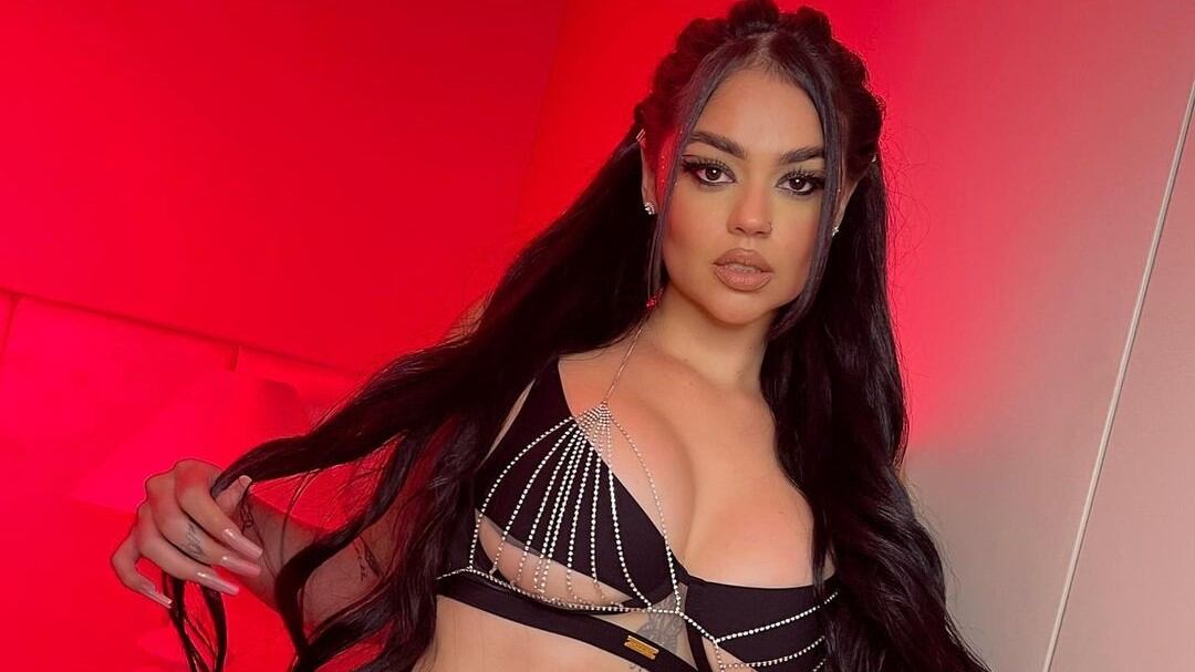 De acuerdo al último video de La Segura tal parece que está en la dulce espera, solo que aún no lo termina de creer