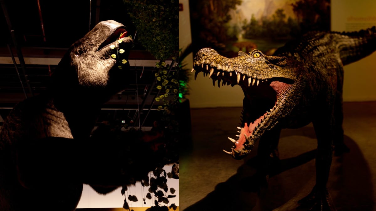 Exposición de fósiles y dinosaurios llegó de Nueva York a Bogotá