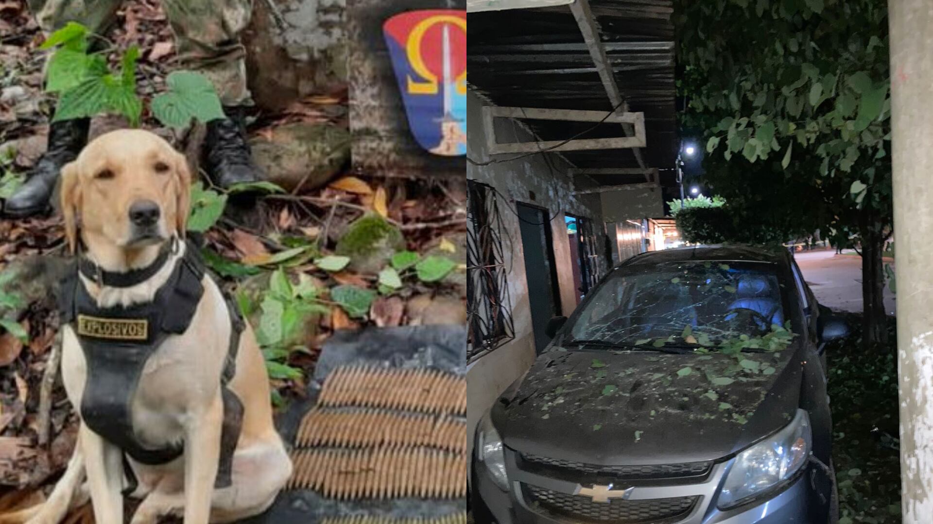 ¿Quienes son los autores? Un perrito antiexplosivos muerto y personas heridas dejó atentado en Puerto Rico, Meta