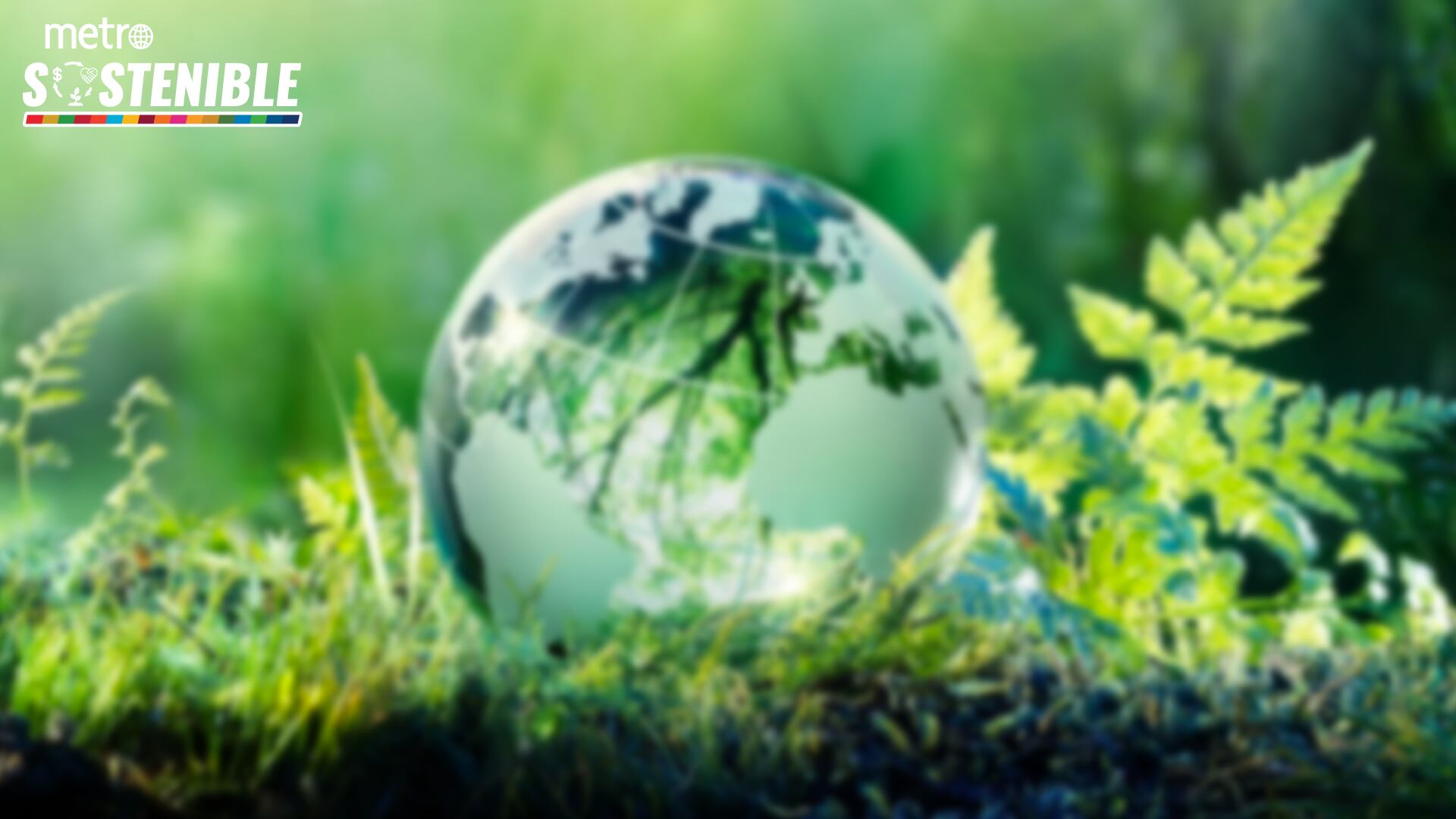 FONDO-SOSTENIBILIDAD