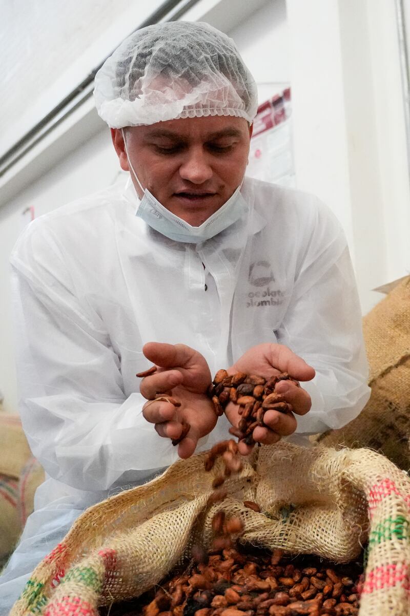 Asociación de productores de cacao en Antioquia.