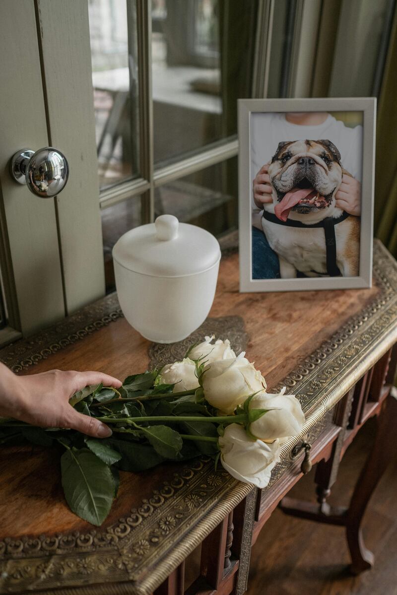 Despedir a los animales de compañía se ha convertido en un ritual lleno de simbolismo y sofisticación. Foto: The Good Funeral Guide.