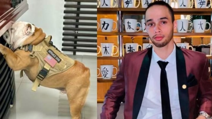 Perro se despidió del joven Jack Ramírez asesinado para robarle el carro en Barranquilla.