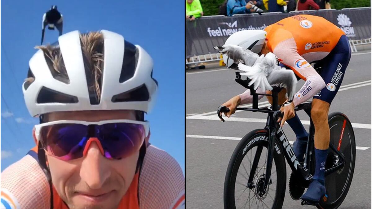 Mollema fue atacado consecutivamente por aves en el Mundial de Ciclismo