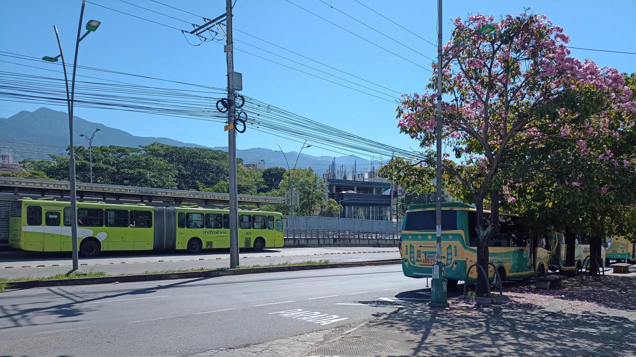 El transporte público en Colombia cada día da más historias para los usuarios quienes en medio de la multitud buscan quedarse con un puesto.