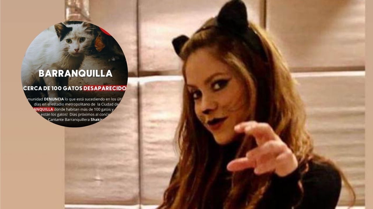 Una asociación protectora de Animales denunció a Shakira por la muerte de 100 gatos en Colombia.