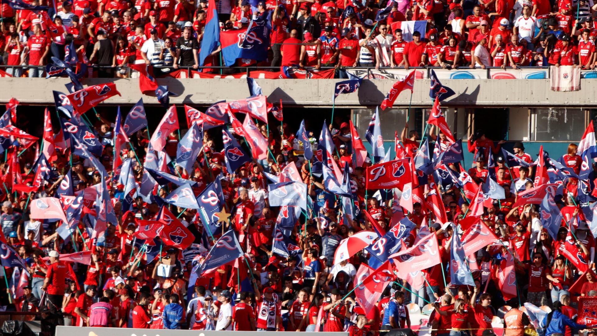 Hinchas del Medellín - Foto: Redes sociales de Win
