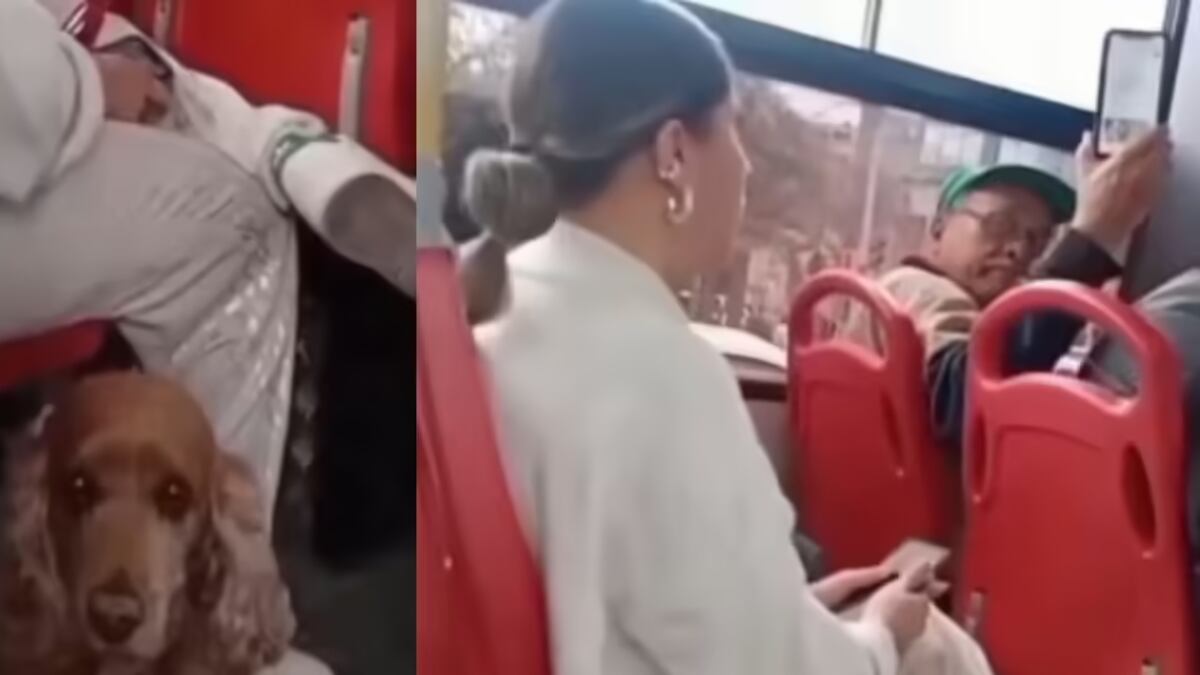 Usuarios del SITP increpan a mujer por llevar a su perrita