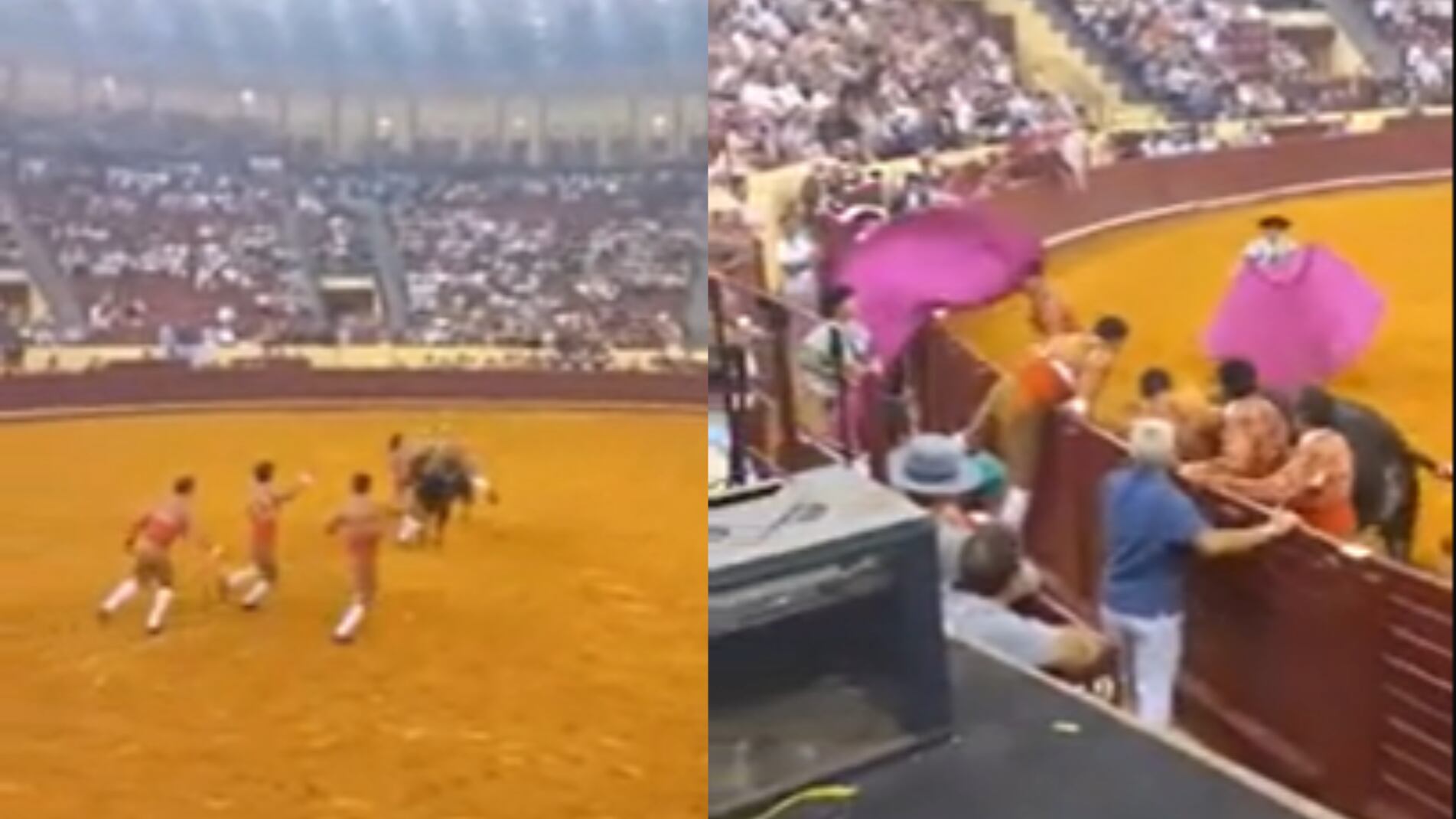 Torero fallecido tras embestida de un toro