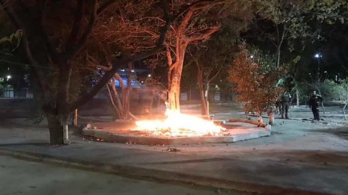Momento del incendio de la casa de los gatos en Santa Marta.