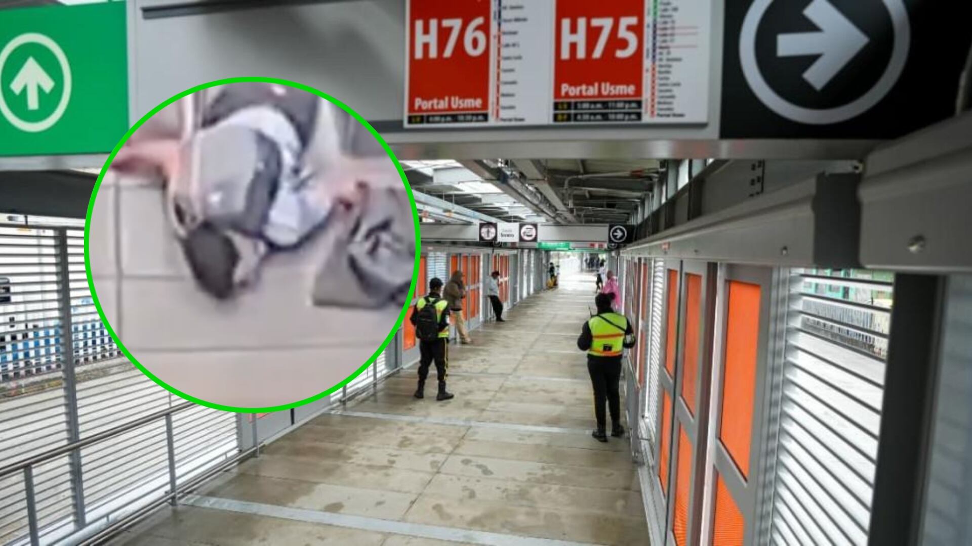 Intentó colarse en TransMilenio y terminó inconsciente al saltarse el torniquete: ¿qué pasó? (Redes sociales)