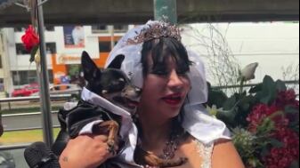 mujer se caso con su perro susy Díaz pantallazo tomado de instagram