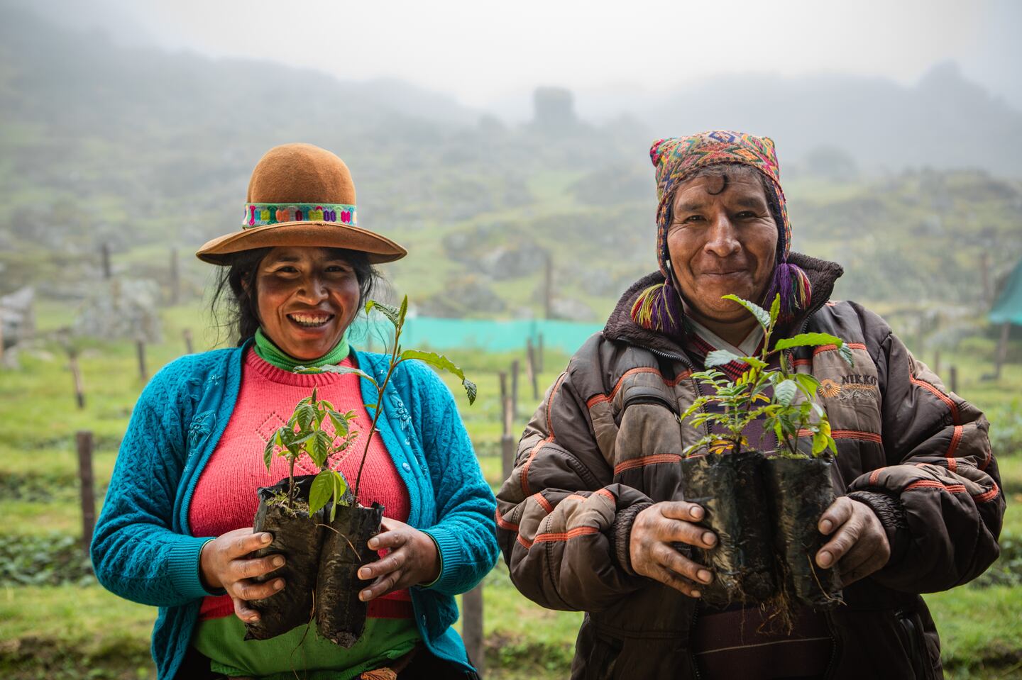 Colombia se suma a la restauración andina con nuevas áreas piloto en ...