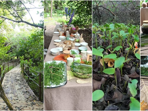 Batis, un remanso de preservación a orillas del Caribe