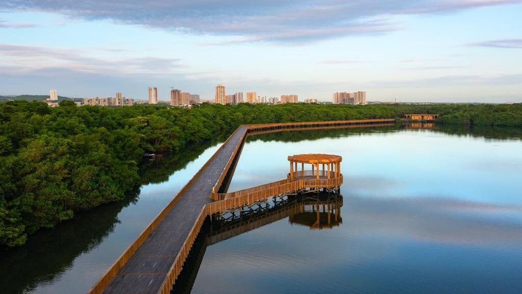 Así se ve el Ecoparque Ciénaga de Mallorquín poco antes de su apertura en Barranquilla.