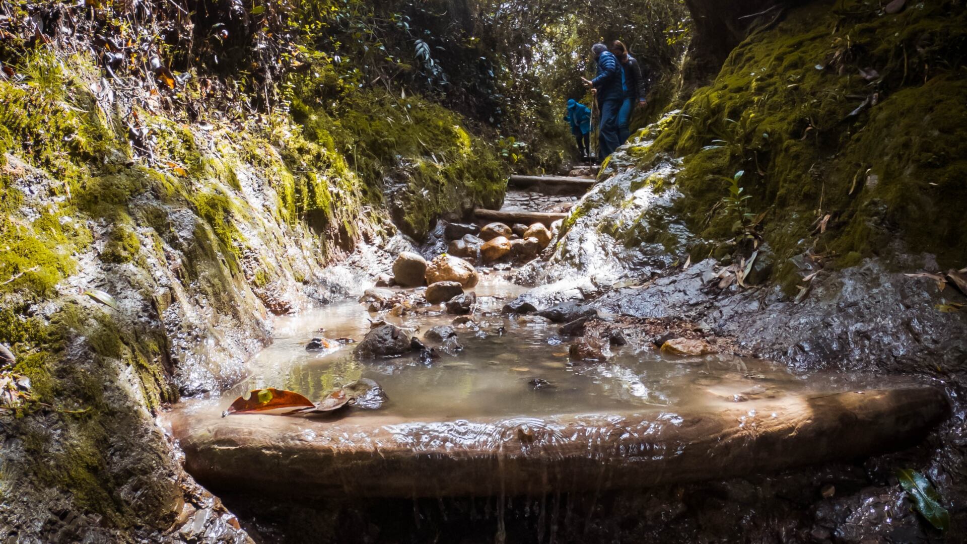 Caminos de los cerros orientales: siete rutas habilitadas en Semana Santa para disfrutar la naturaleza en Bogotá (Cortesia)