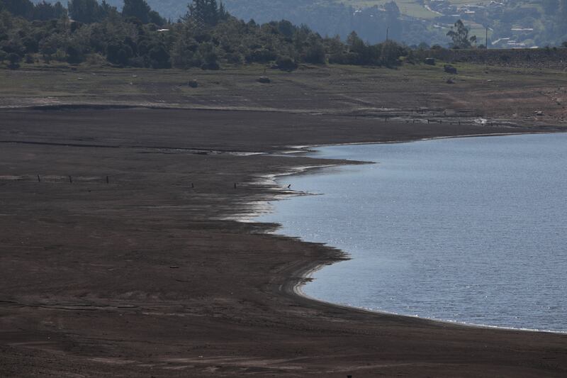 Detalle del bajo nivel de agua en el Embalse de San Rafael, en el municipio de La Calera, Cundinamarca, durante el ‘Fenómeno del Niño’ en abril de 2024