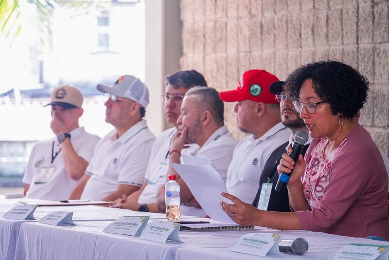 Diálogos estructuras criminales en Medellín