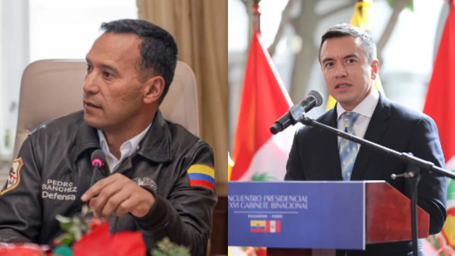 "Incautaciones en zona fronteriza colombo-ecuatoriana registran incremento histórico": MinDefensa