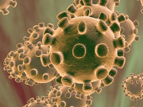 Coronavirus: así es como el Covid-19 afecta a los pulmones