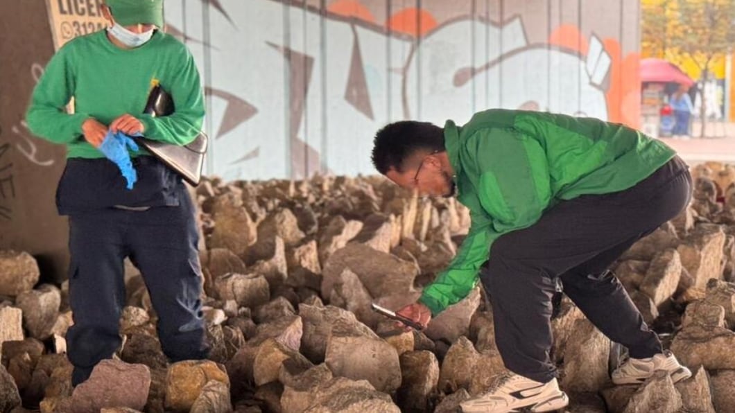 Instituto Distrital de Protección y Bienestar Animal