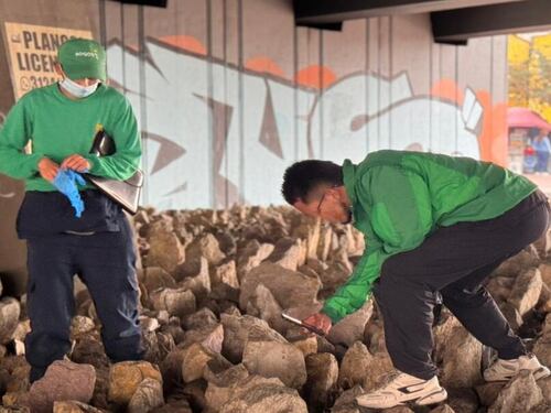 Alcaldía de Bogotá reveló qué hay detrás de cráneos hallados debajo del puente de la carrera 30 con calle 6