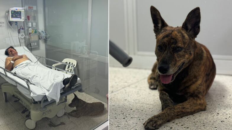Hospital General de Medellín permite el ingreso del perro de un paciente